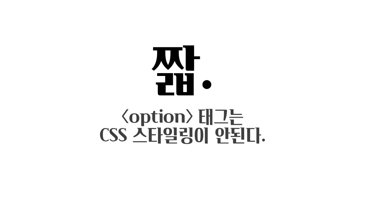 <option> 태그 CSS 스타일링하기