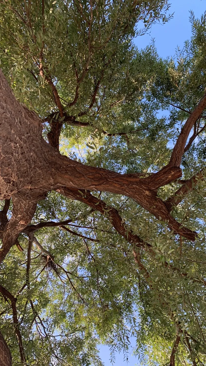 번아웃을 겪고 남겨 놓는 기록