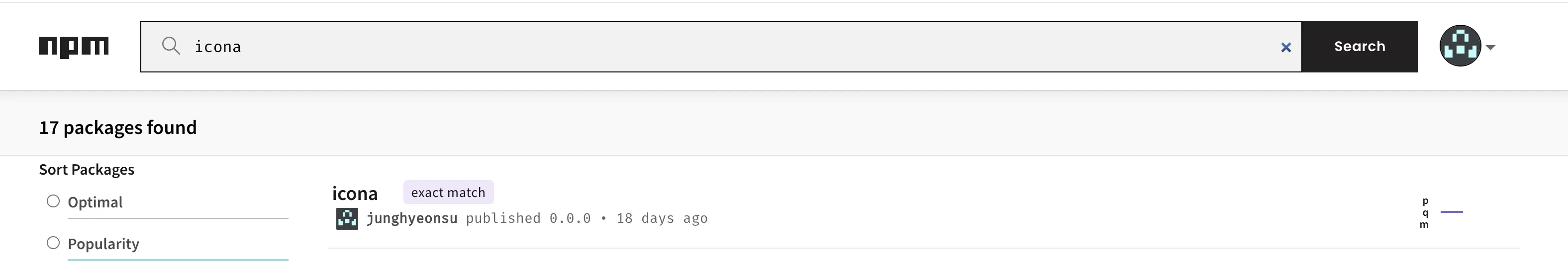 내가 먹어놓은 npm icona 패키지