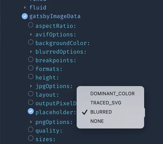 placeholder에 대한 여러 옵션들