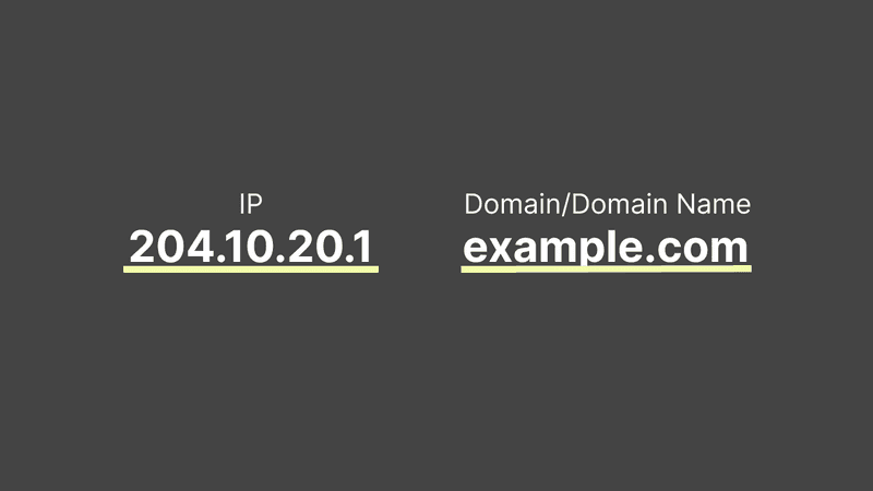 IP와 도메인 이름
